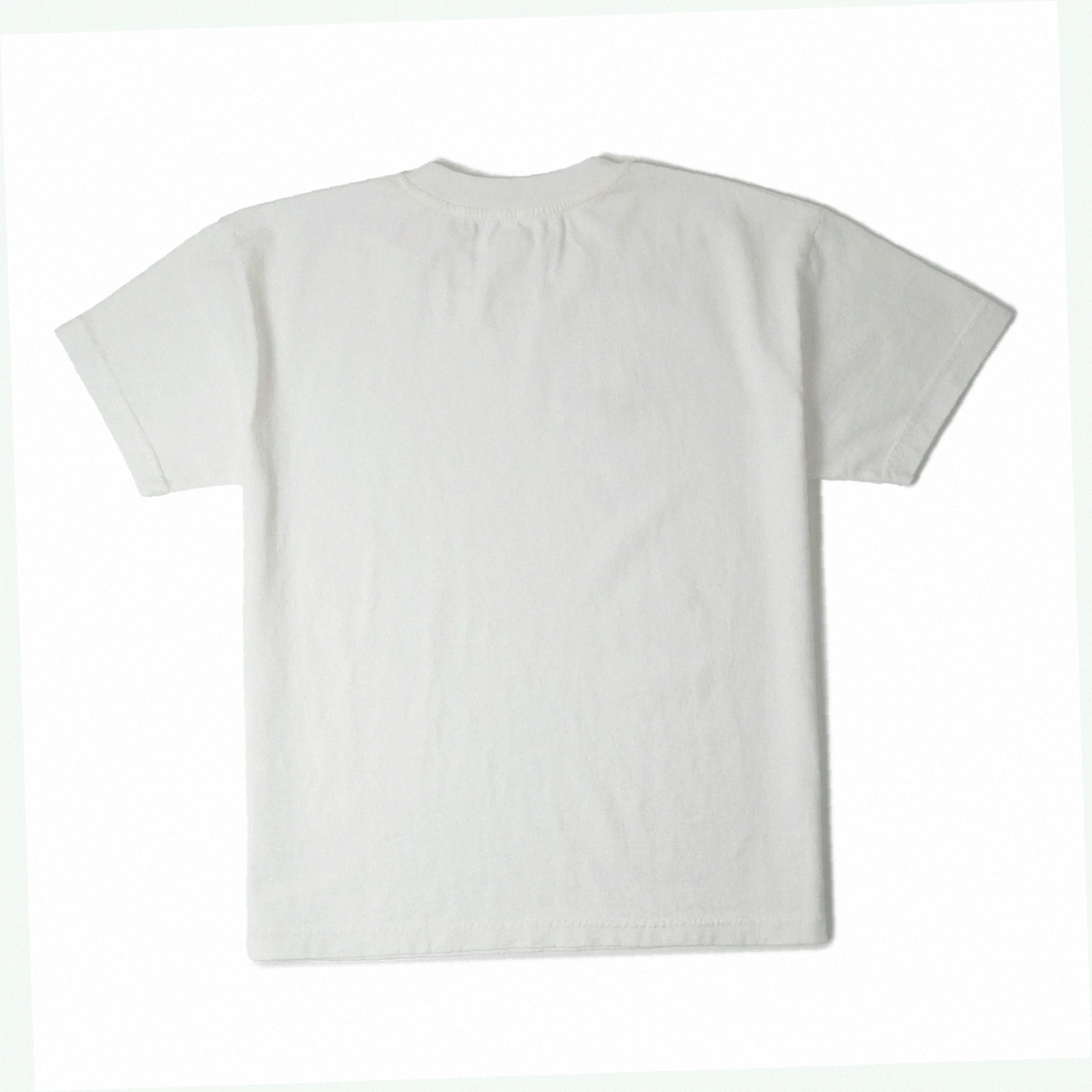 Topo Designs x Soft Goods Label Tee
